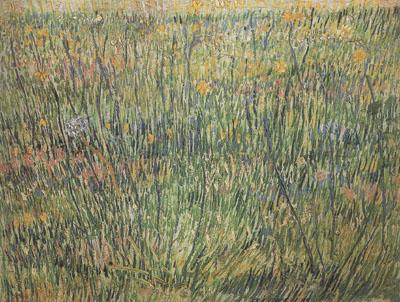 Vincent Van Gogh Pasture in Bloom (nn04) Sweden oil painting art